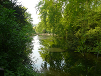 Connnect with Mother Earth through ceremonies and short meditations in Dorking Surrey